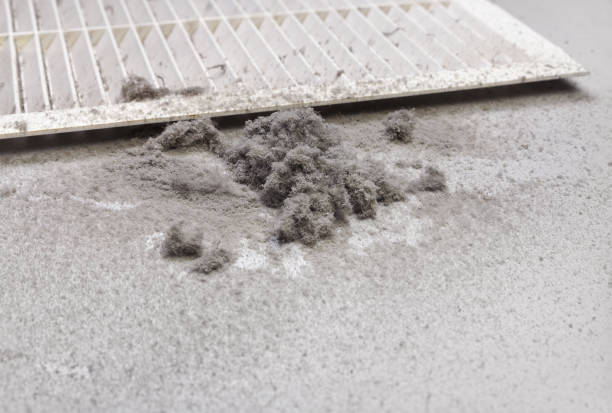 Best Air Duct Cleaning Company Near Me  in South Cleveland, TN
