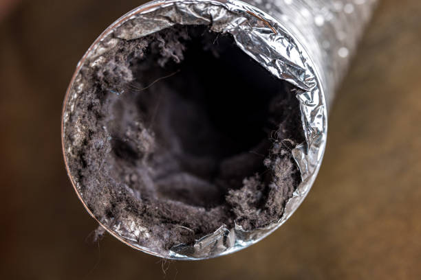 Best HVAC Maintenance and Cleaning  in South Cleveland, TN