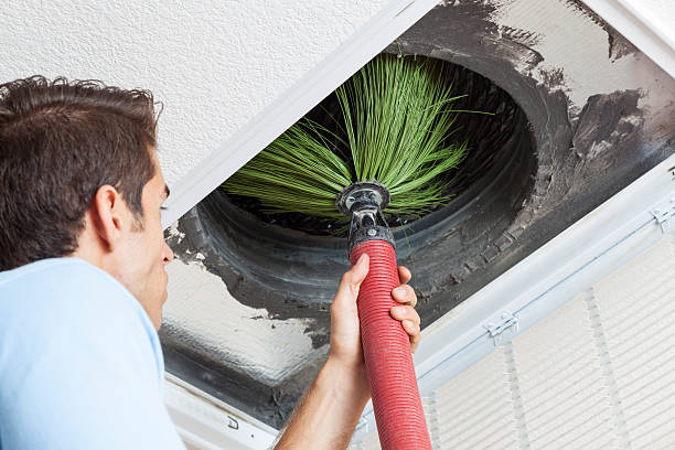 Best Dryer Vent Cleaning Services  in South Cleveland, TN
